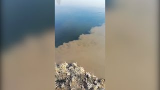 В Миасс слили глину