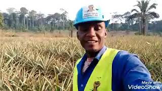 Comment devenir multimillionnaire en pratiquant l'agriculture et ce avec n'importe quelle culture ?