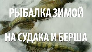 ЛОВЛЯ СУДАКА и БЕРША ЗИМОЙ на ТЮЛЬКУ ФЛАЖКАМИ и ЗИМНИЕ УДОЧКИ с ТЯЖЕЛЫМИ МОРМЫШКАМИ
