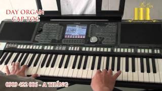 Học Đàn Organ ĐIỆU BOLERO - Trung Tâm Organ Nhạc Rừng - Phượng Buồn - Organ Cấp Tốc Tphcm