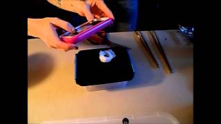 pulling the avic avic tarantula egg sack