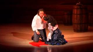 L'air "Fleur", l'opéra "Carmen" de G. Bizet. 2015. Odessa, Konstantin Andreiev.