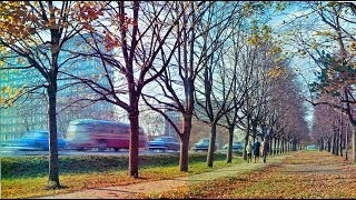 Москва. Ленинградский проспект в прошлом Петербургское шоссе. Путешествие по старинной улице.