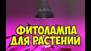 Фитолампа для растений / Освещение для рассады