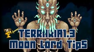 Terraria Expert Mode Moon Lord Tips