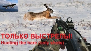 Охота на зайца, ЛУЧШИЕ МОМЕНТЫ, НАРЕЗКА ВЫСТРЕЛЫ