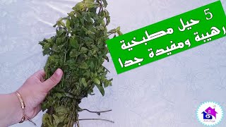 حيل مطبخية رهيبة ومفيدة سوف توفر عليك الوقوف لساعات في المطبخ شاهدي ولن تندمي