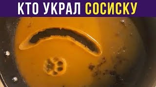 Приколы. Кто украл сосиску? | Мемозг #128