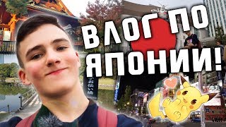 ? *ЯПОШКА* - Шальные Гасяпоны, Котики, Красочная Акихабара и Прочее! [1-я часть] | ВЛОГ ПО ЯПОНИИ