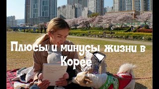 Плюсы и минусы жизни в Корее. Часть 1.  Болтушка Уля? Южная Корея. Пусан