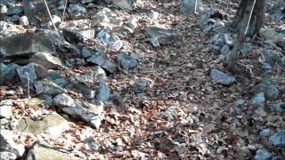 Hike to Stony Mountain Fire Lookout Tower- PA