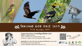 CP E-News EP.77_กิจกรรมการแข่งขันดูนก Thailand Bird Race 2019