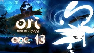 Ori and the Blind Forest [#13] - Wiaaatr