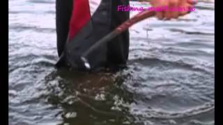 Квок на сома Tramontina