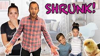 HONEY We SHRUNK them!!  spell book series episode 10