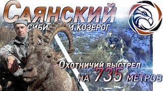 ТРОФЕЙНАЯ ОХОТА НА САЯНСКОГО КОЗЕРОГА (2019)