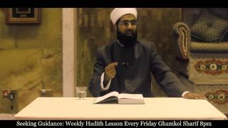 Shaykh Mohammed Aslam - Shaykh Badruddin Al Hasani Meeting Imam al Nawwawi