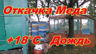 На пасеке Лиса на Unexpected beekeeping