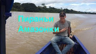 Охота на кайманов, рыбалка на амазонке. Арапайма.
