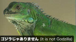 Pronunciation Practice: Ja-arimasen じゃありません