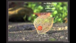 Blest - ¡¡¡Vuela... Más Alto!!!