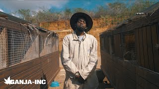 Lil Homie x CJ - Galinja (Kwe) [starring Encho & Chokoi]