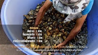 "การหมักจุลินทรีย์สะสมอาหารเปิดตาดอก สูตร อ.ธงชนะ" หินไฟและทีมงาน