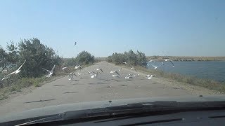 Дорога Скадовск - Голая Пристань - Херсон - Днепровский залив - Николаев - Одесса