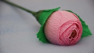 Английская роза из конфеты. Мастер-класс. DIY rose made of candy and paper
