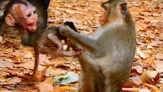 HEART BURN!Evil Mum ANNa Kick Baby Alba Out Nearly Fracture Rip | Trillion Pity Poor baby Alba Life