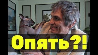Бари Алибасов снова потерял кота? Что случилось?