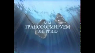 Трансформатор. Трансформатор от производителя ОАО "ЭЛЕКТРОЗАВОД"