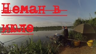 С фидером на реку Неман.