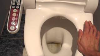 Моем жопу каждый день. Крышка биде на унитаз. (Жополиз)