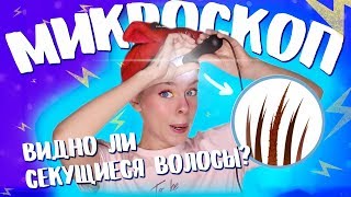 ПОД МИКРОСКОПОМ ?ВОЛОСЫ КАК В РЕКЛАМЕ | Ира Блан