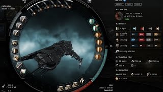 welcome to eve online tengu ratting