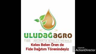 Lavanta Fidesi Dağıtımı Törenindeyiz...