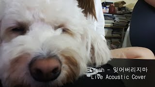 Natsumiii - Don’t Forget (잊어버리지마) Live Acoustic Cover (Originally by Crush 크러쉬)