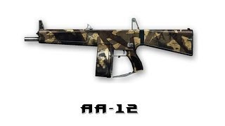 Warface: AA-12