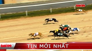 ⚡ NÓNG | “Chó điền kinh “ ngoại nhập ở Việt Nam