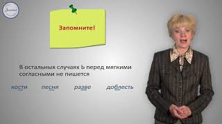 Русский язык 10 класс  Разделительные Ъ и Ь