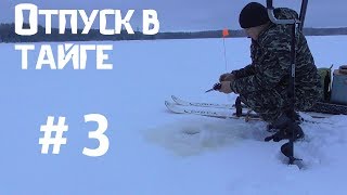 Отпуск в тайге/3 часть/полы/баня/рыбалка/