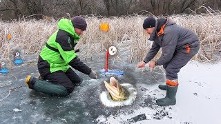 НЕ ЛЕЗЕТ в ЛУНКУ!!! ТАЩИ ЕЁ СЕРЁГА!!! РЫБАЛКА на ЖЕРЛИЦЫ в ГЛУХОМ ЗАЛИВЕ