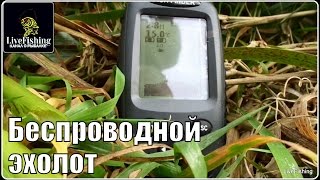 Недорогой беспроводной эхолот Fish finder ff998.  (LiveFishing)
