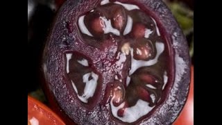 Черноплодные экзотические томаты