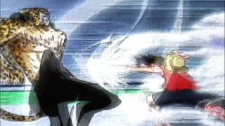 Monkey. D. Luffy Vs Rob Lucci / Gomu Gomu VS Neko Neko /AMV