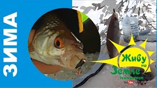 Эффективная проводка на безмотылку "Ведьма" или "Медуза"