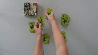 Jeu salade de cafards Gigamic
