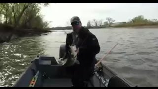 30 INCH WALLEYE MO RIVER MISSOURI