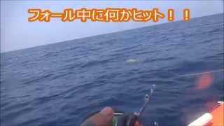 スロージギングでフォール中にヒット　（ホウボウ）